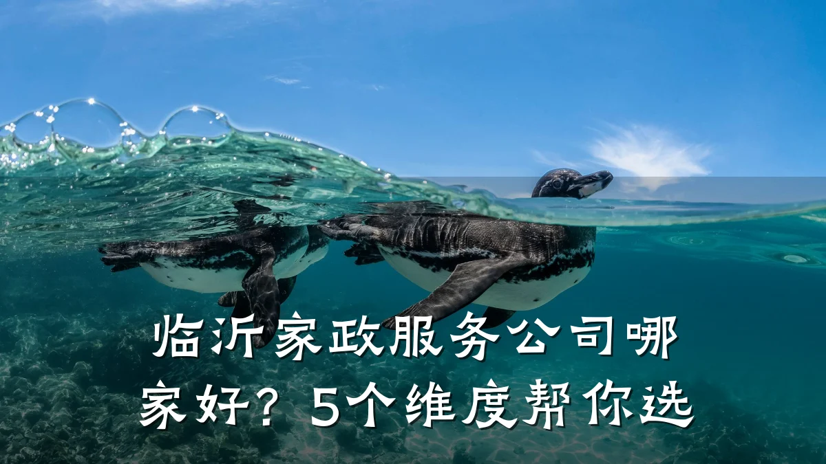 临沂家政服务公司哪家好？5个维度帮你选