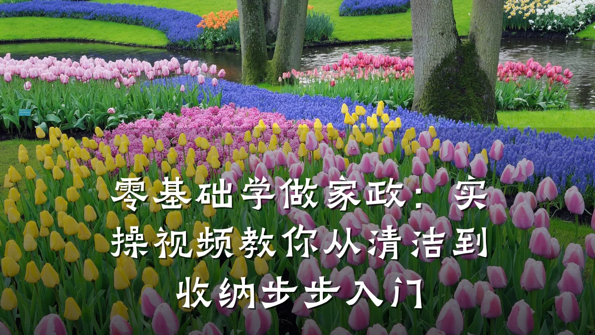 零基础学做家政：实操视频教你从清洁到收纳步步入门