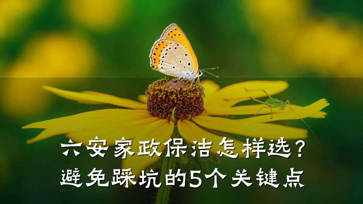 六安家政保洁怎样选?避免踩坑的5个关键点
