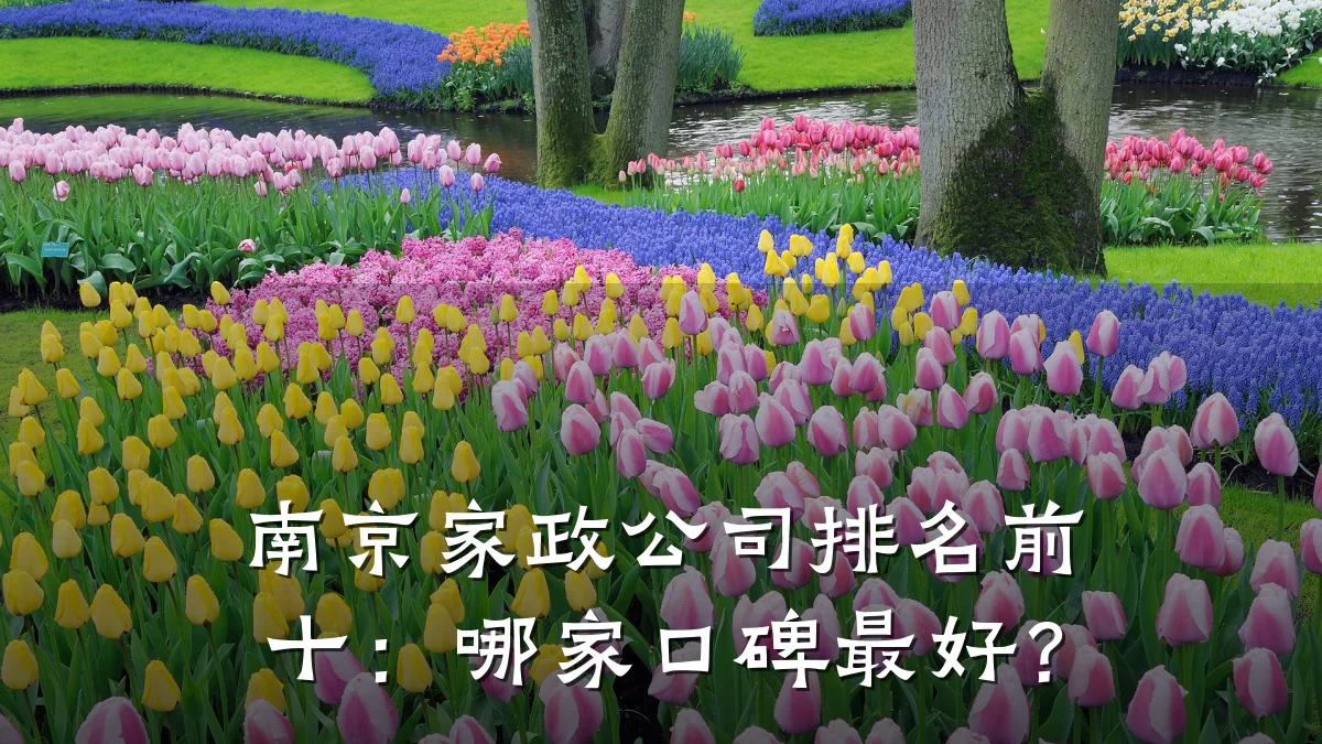 南京家政公司排名前十:哪家口碑最好?