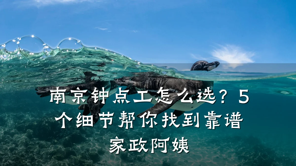 南京钟点工怎么选？5个细节帮你找到靠谱家政阿姨