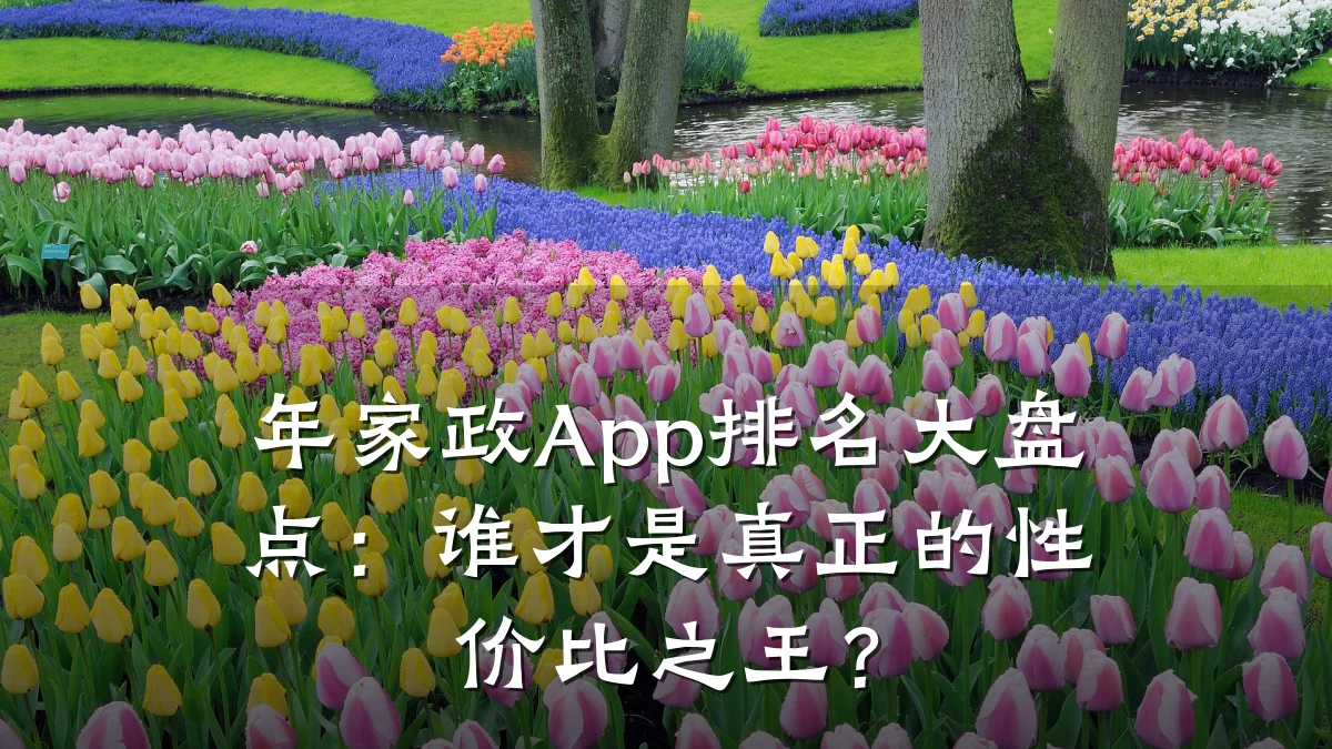 年家政App排名大盘点:谁才是真正的性价比之王?