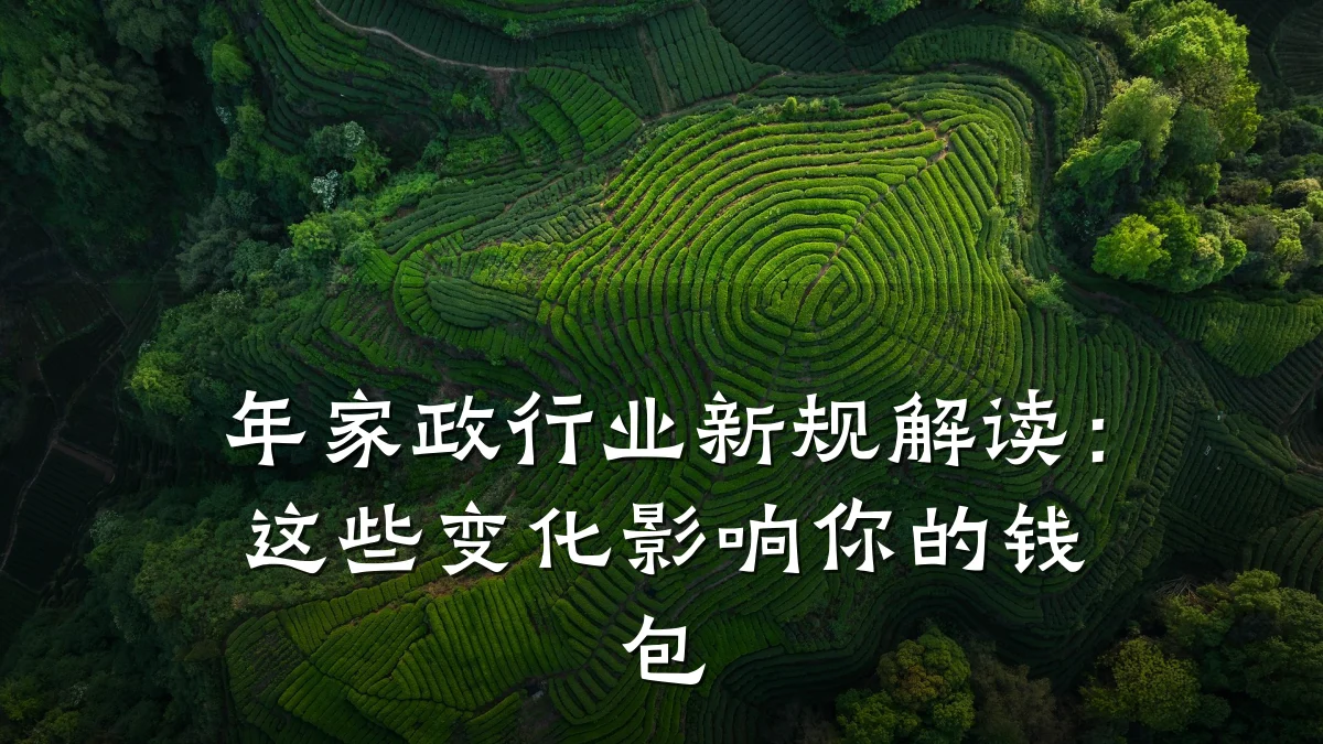 年家政行业新规解读:这些变化影响你的钱包
