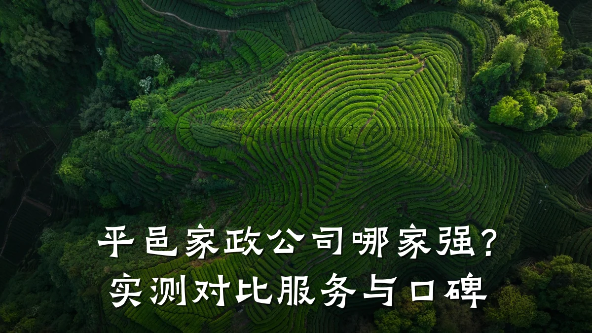 平邑家政公司哪家强?实测对比服务与口碑