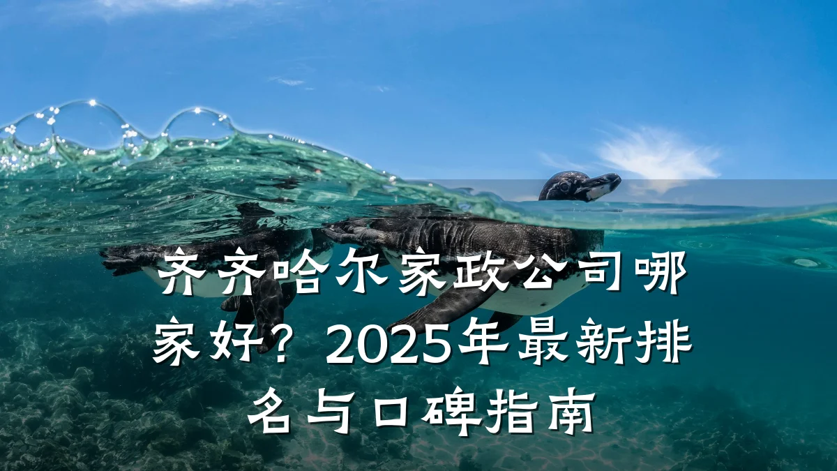 齐齐哈尔家政公司哪家好?2025年最新排名与口碑指南