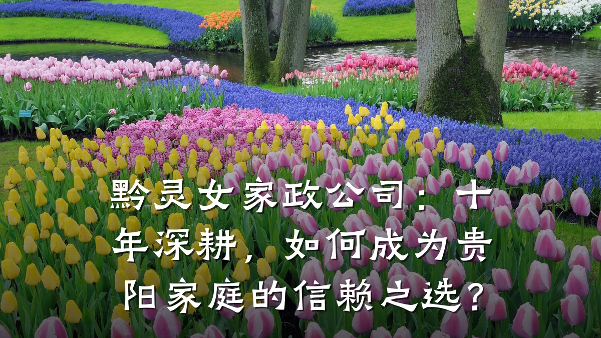 黔灵女家政公司:十年深耕,如何成为贵阳家庭的信赖之选?