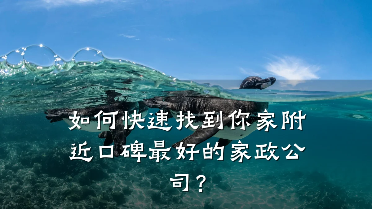 如何快速找到你家附近口碑最好的家政公司?