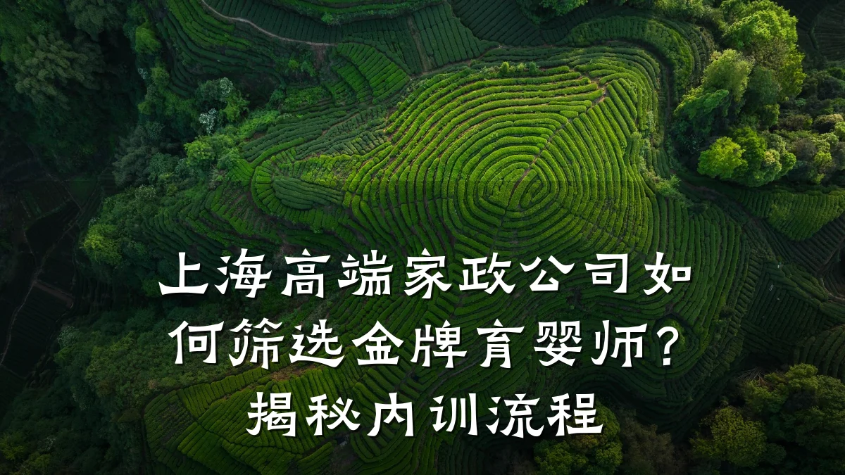 上海高端家政公司如何筛选金牌育婴师？揭秘内训流程