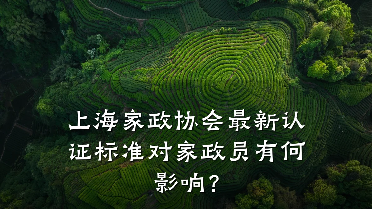 上海家政协会最新认证标准对家政员有何影响?