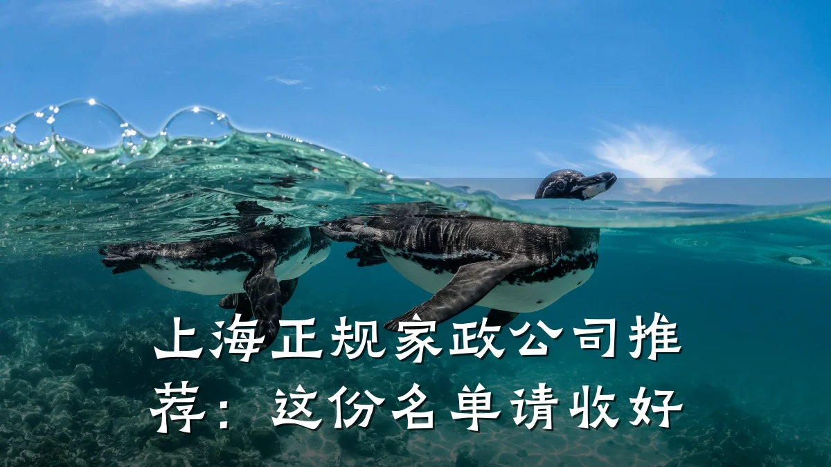 上海正规家政公司推荐:这份名单请收好