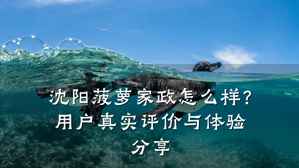 沈阳菠萝家政怎么样?用户真实评价与体验分享