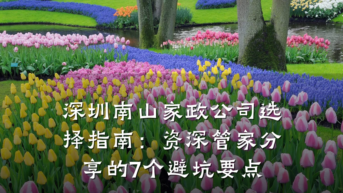 深圳南山家政公司选择指南：资深管家分享的7个避坑要点