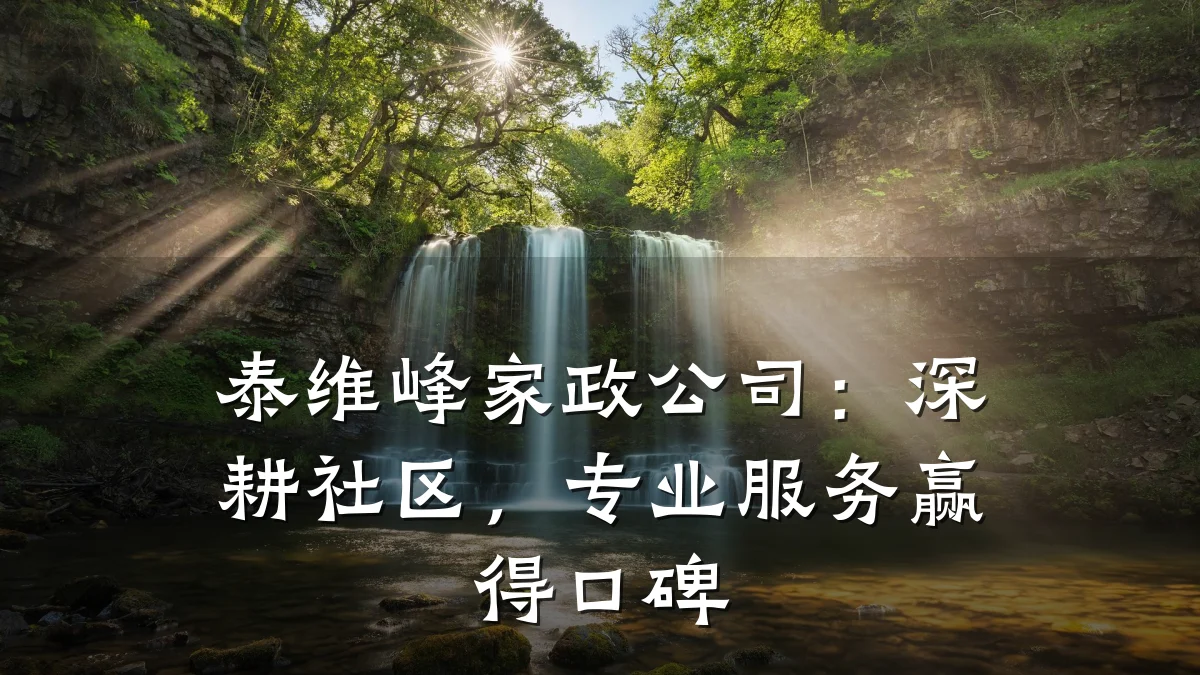 泰维峰家政公司:深耕社区,专业服务赢得口碑