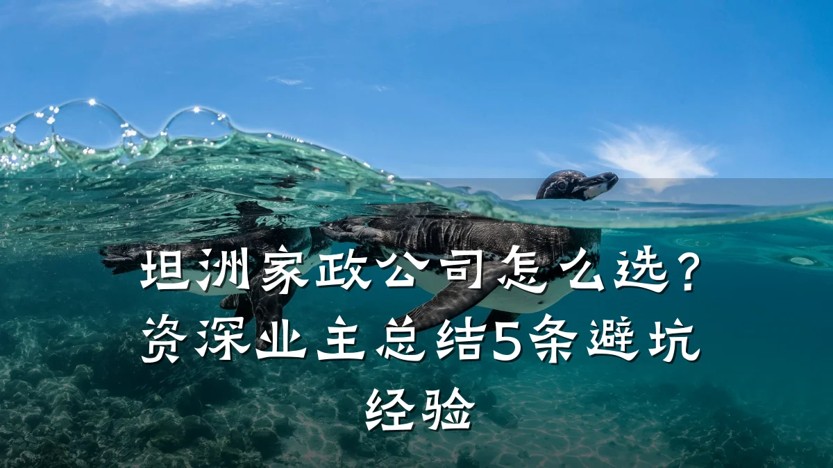 坦洲家政公司怎么选？资深业主总结5条避坑经验
