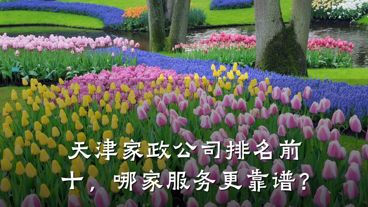 天津家政公司排名前十,哪家服务更靠谱?