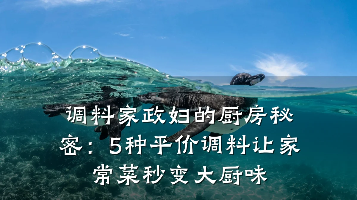 调料家政妇的厨房秘密:5种平价调料让家常菜秒变大厨味