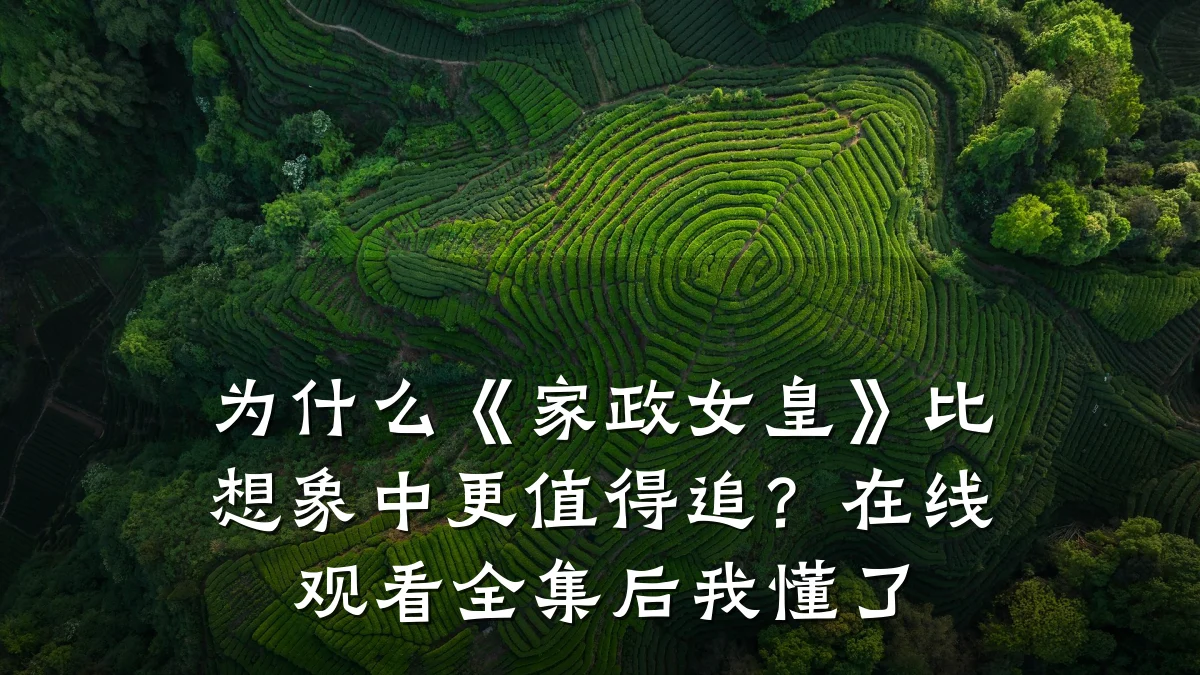 为什么《家政女皇》比想象中更值得追?在线观看全集后我懂了