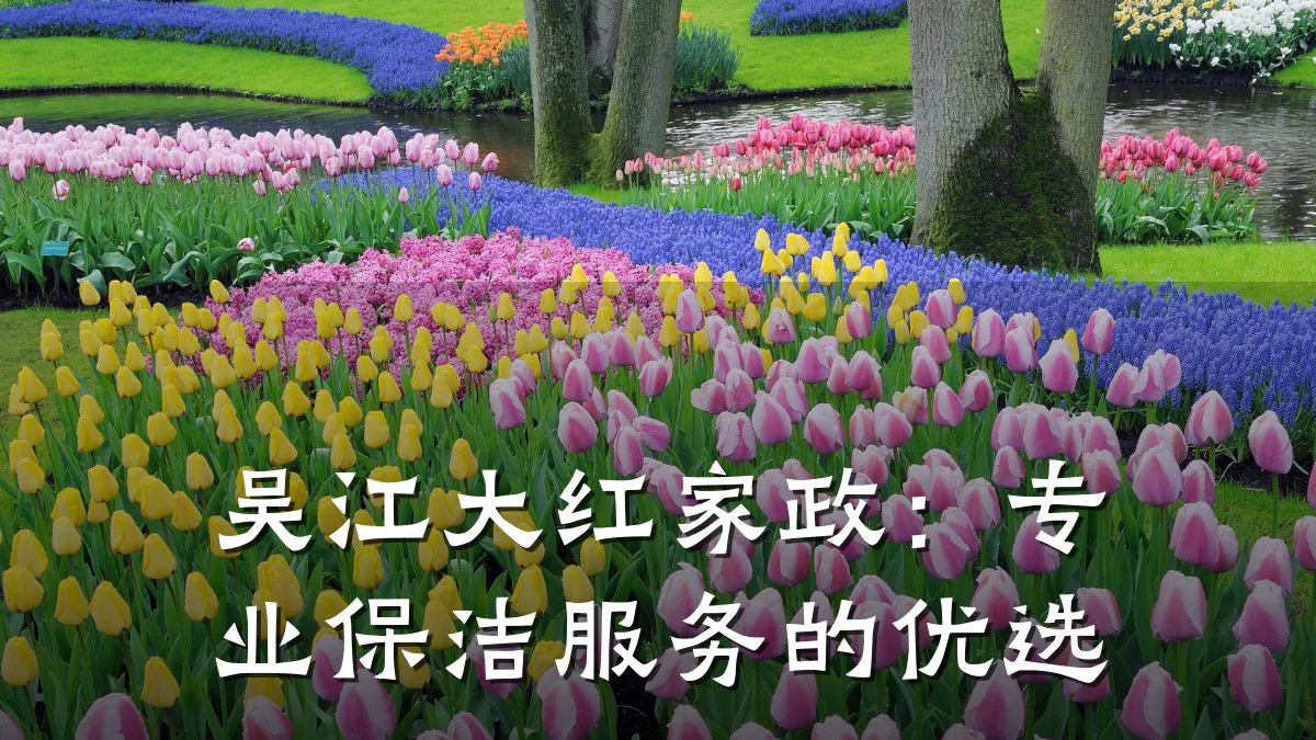 吴江大红家政:专业保洁服务的优选