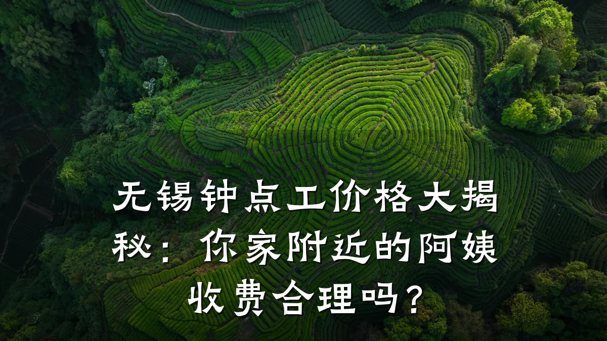 无锡钟点工价格大揭秘:你家附近的阿姨收费合理吗?