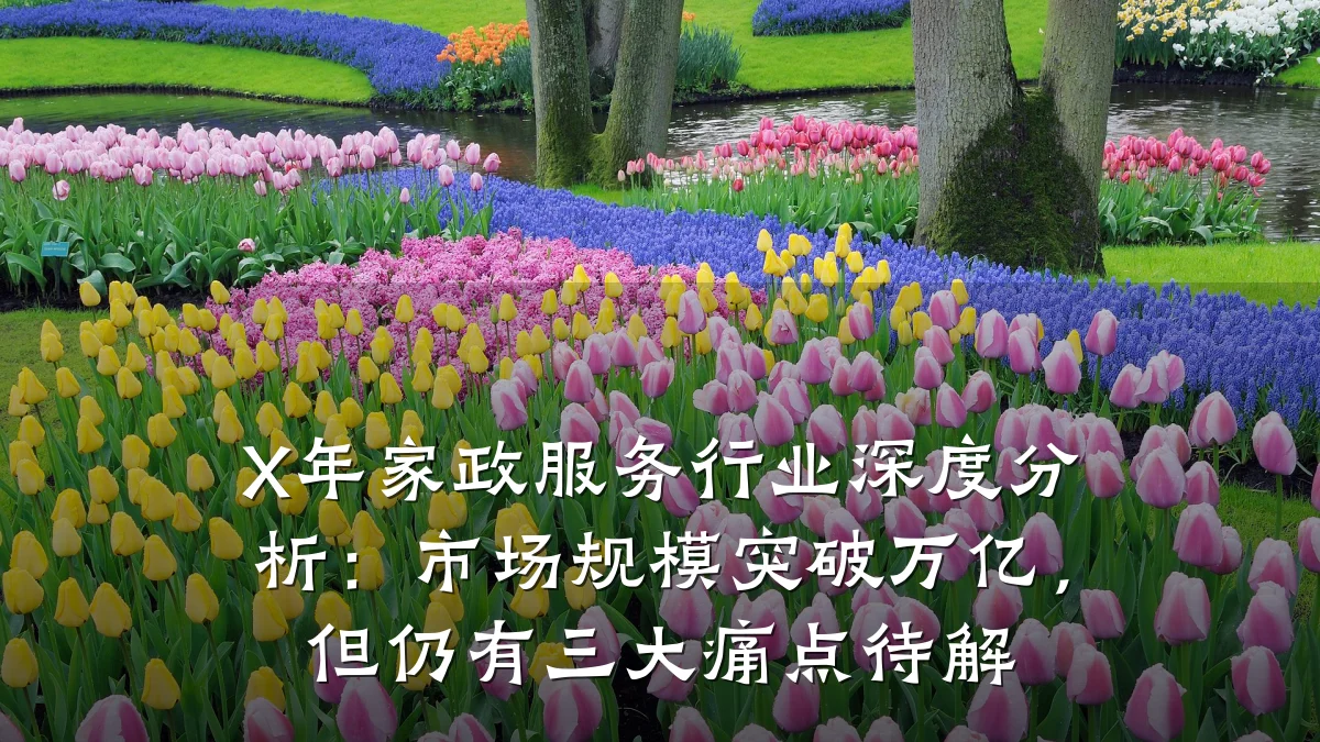 X年家政服务行业深度分析:市场规模突破万亿,但仍有三大痛点待解