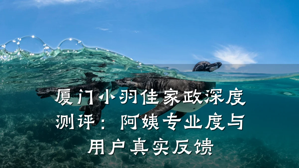 厦门小羽佳家政深度测评:阿姨专业度与用户真实反馈