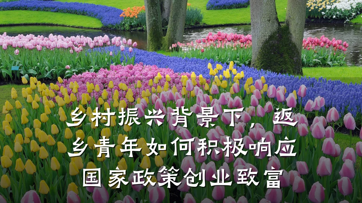 乡村振兴背景下,返乡青年如何积极响应国家政策创业致富