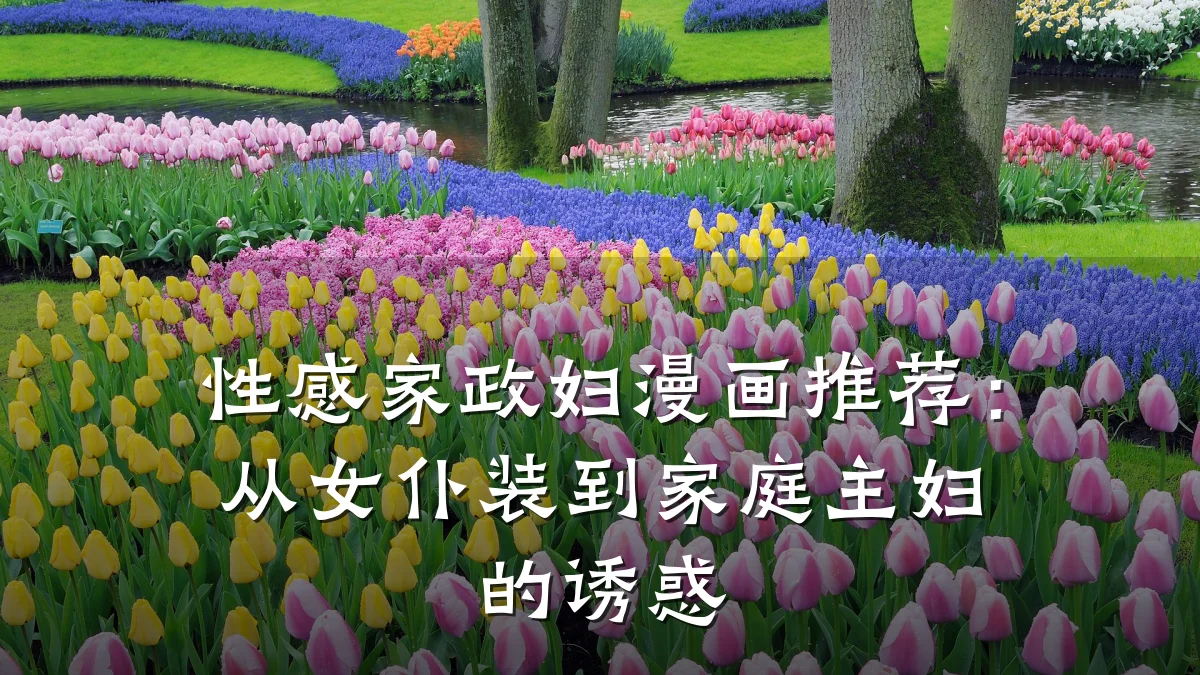 性感家政妇漫画推荐:从女仆装到家庭主妇的诱惑