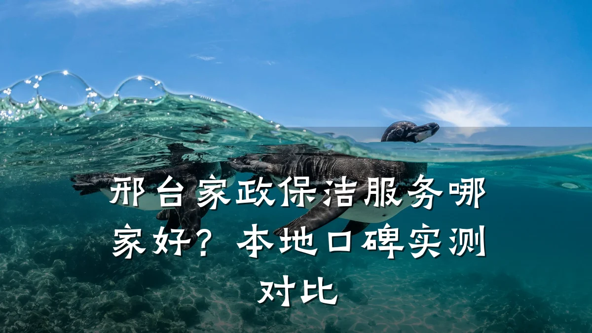 邢台家政保洁服务哪家好?本地口碑实测对比