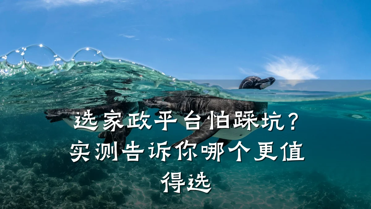 选家政平台怕踩坑?实测告诉你哪个更值得选