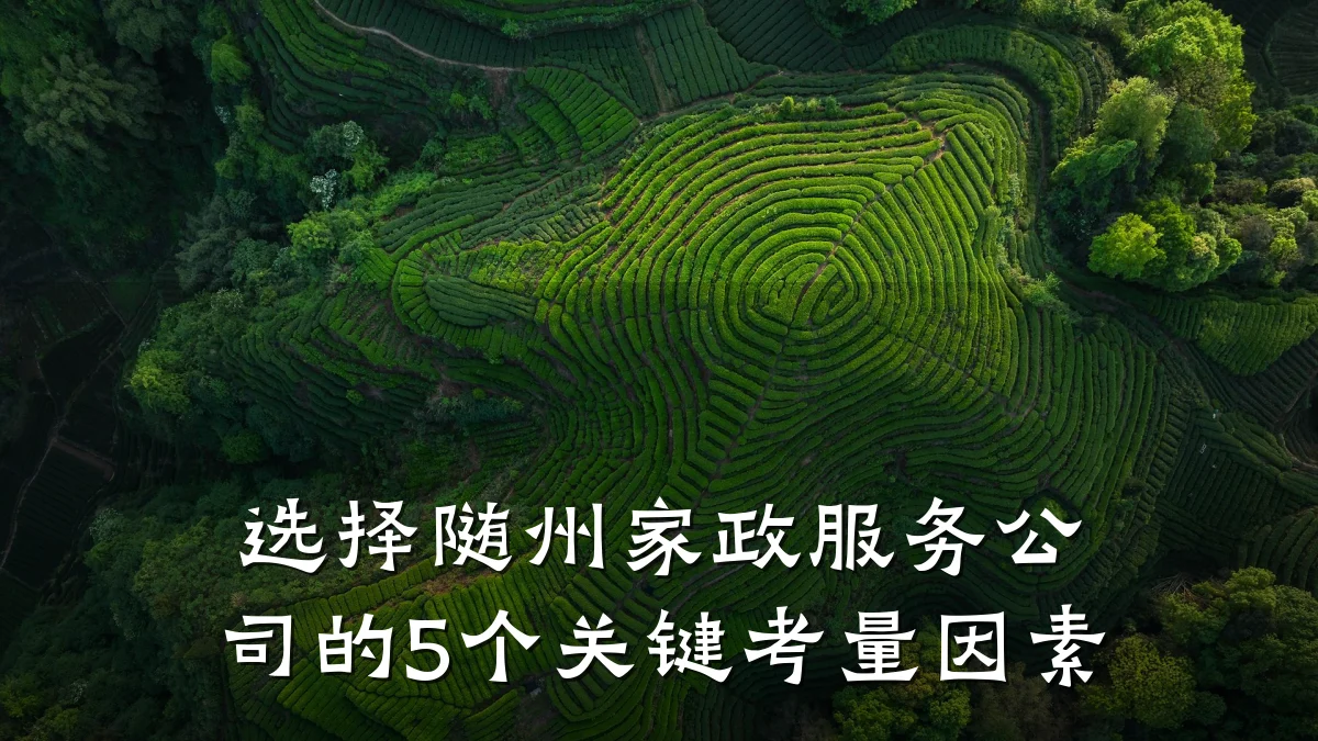 选择随州家政服务公司的5个关键考量因素