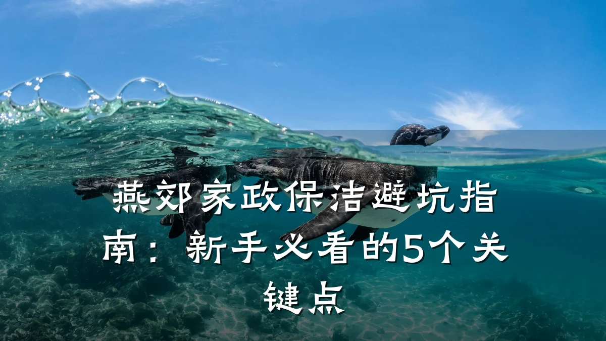 燕郊家政保洁避坑指南:新手必看的5个关键点