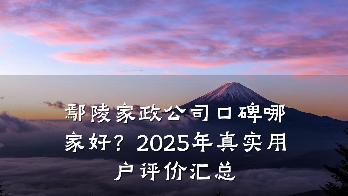 鄢陵家政公司口碑哪家好?2025年真实用户评价汇总