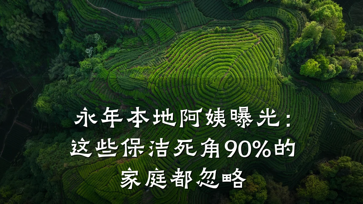 永年本地阿姨曝光:这些保洁死角90%的家庭都忽略