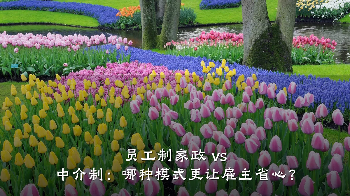 员工制家政 vs 中介制:哪种模式更让雇主省心?
