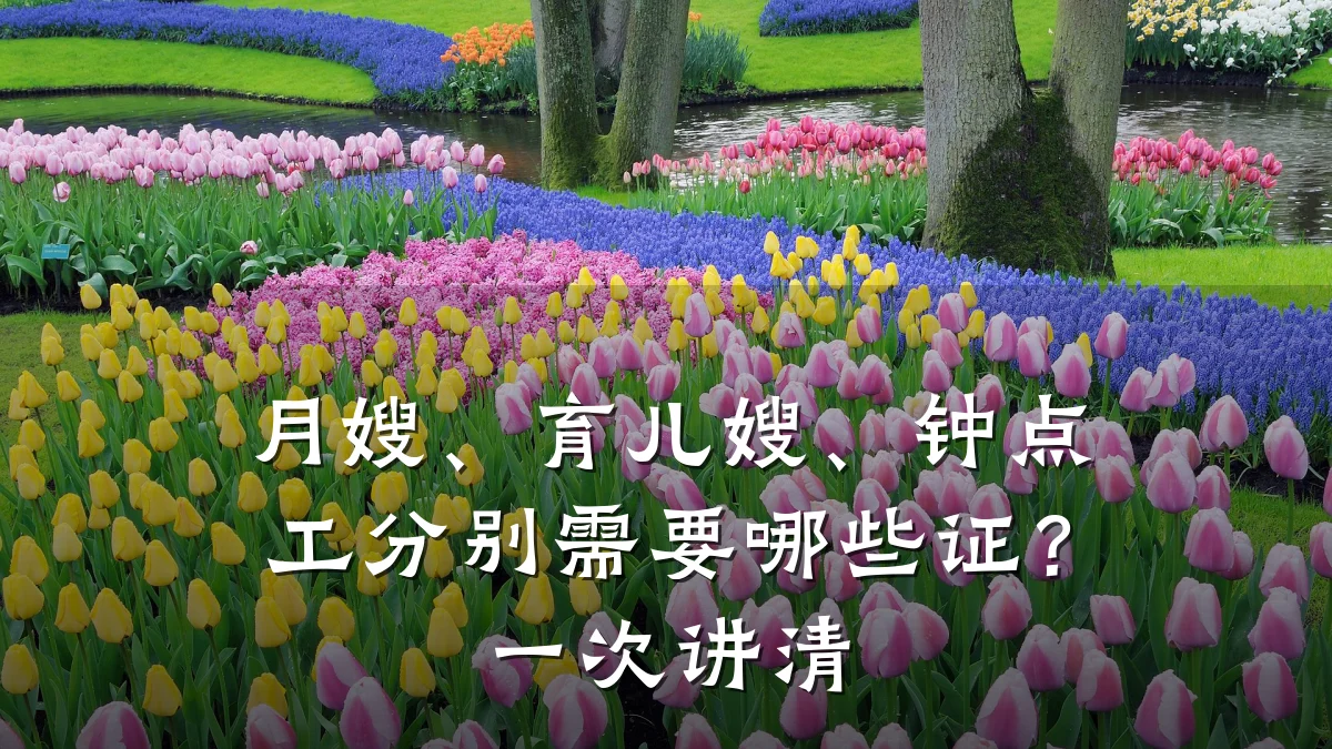 月嫂、育儿嫂、钟点工分别需要哪些证?一次讲清