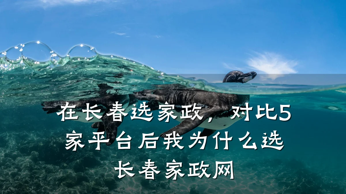在长春选家政,对比5家平台后我为什么选长春家政网