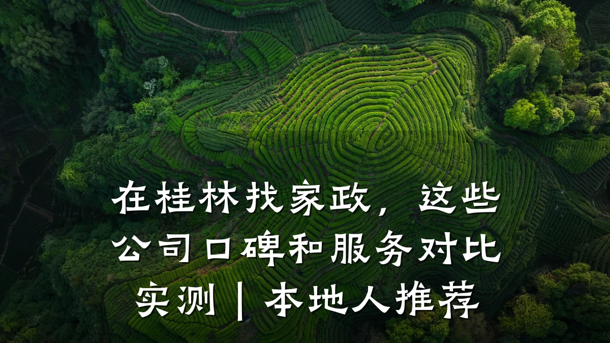 在桂林找家政,这些公司口碑和服务对比实测|本地人推荐