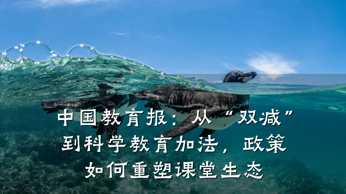中国教育报：从“双减”到科学教育加法，政策如何重塑课堂生态