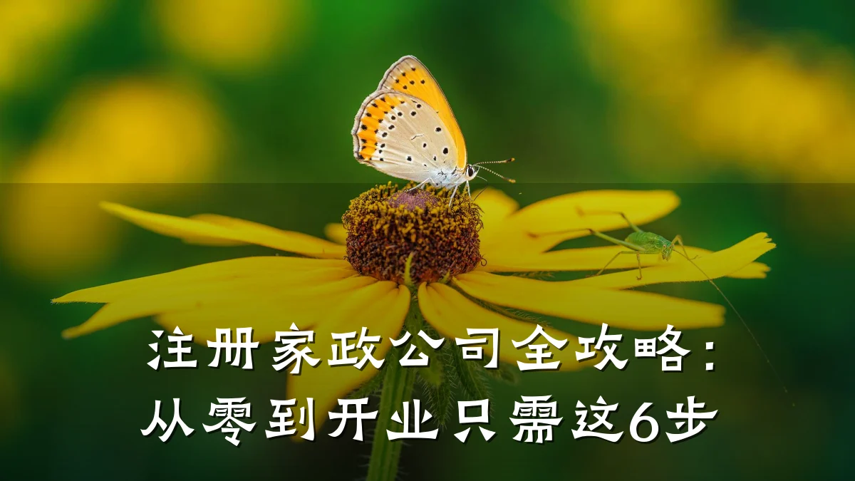 注册家政公司全攻略:从零到开业只需这6步