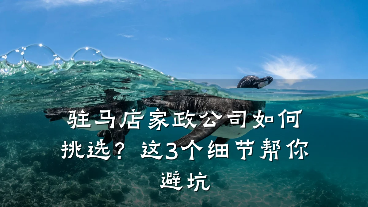 驻马店家政公司如何挑选?这3个细节帮你避坑