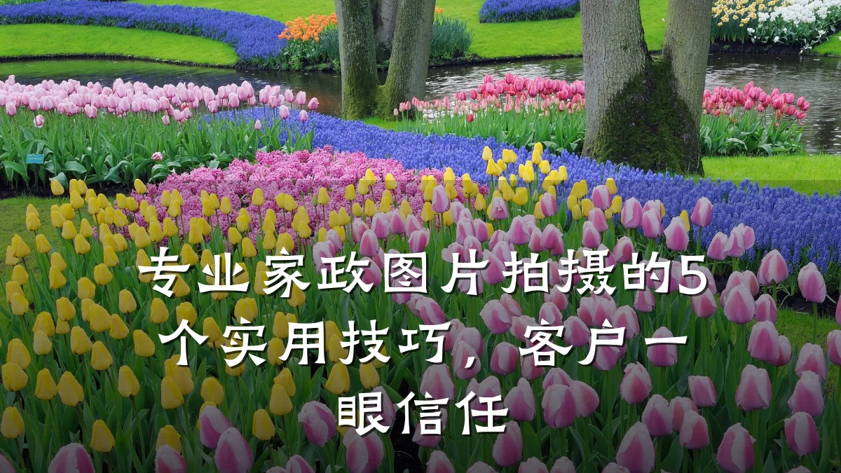 专业家政图片拍摄的5个实用技巧,客户一眼信任