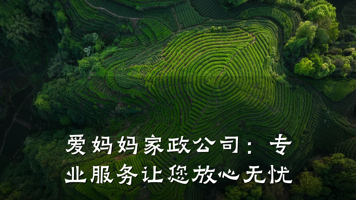 爱妈妈家政公司:专业服务让您放心无忧