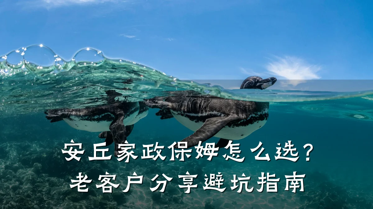 安丘家政保姆怎么选？老客户分享避坑指南