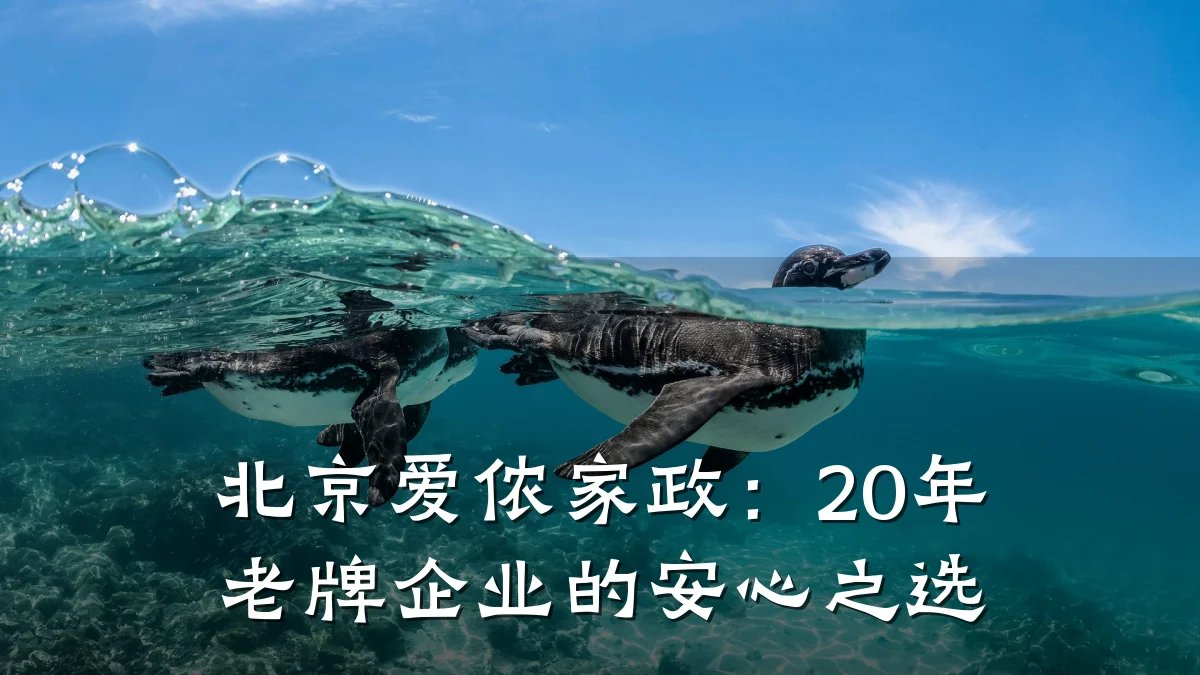 北京爱侬家政:20年老牌企业的安心之选