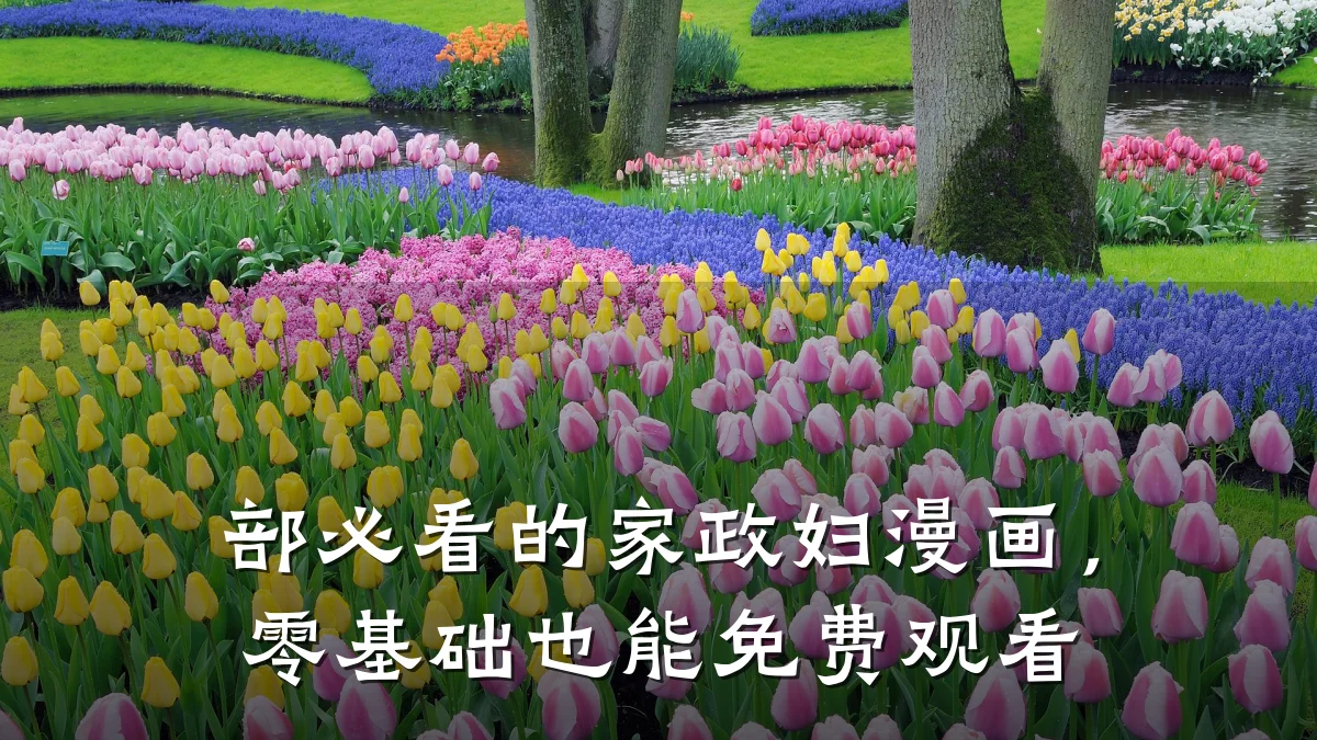 部必看的家政妇漫画,零基础也能免费观看