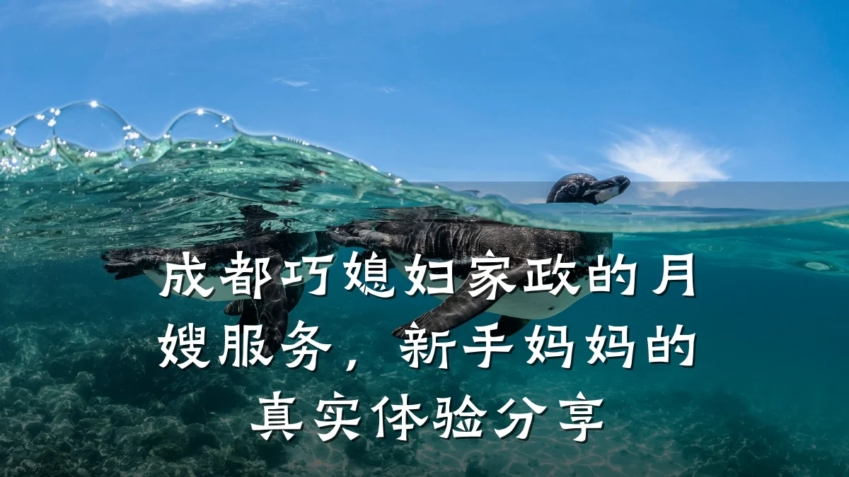 成都巧媳妇家政的月嫂服务,新手妈妈的真实体验分享