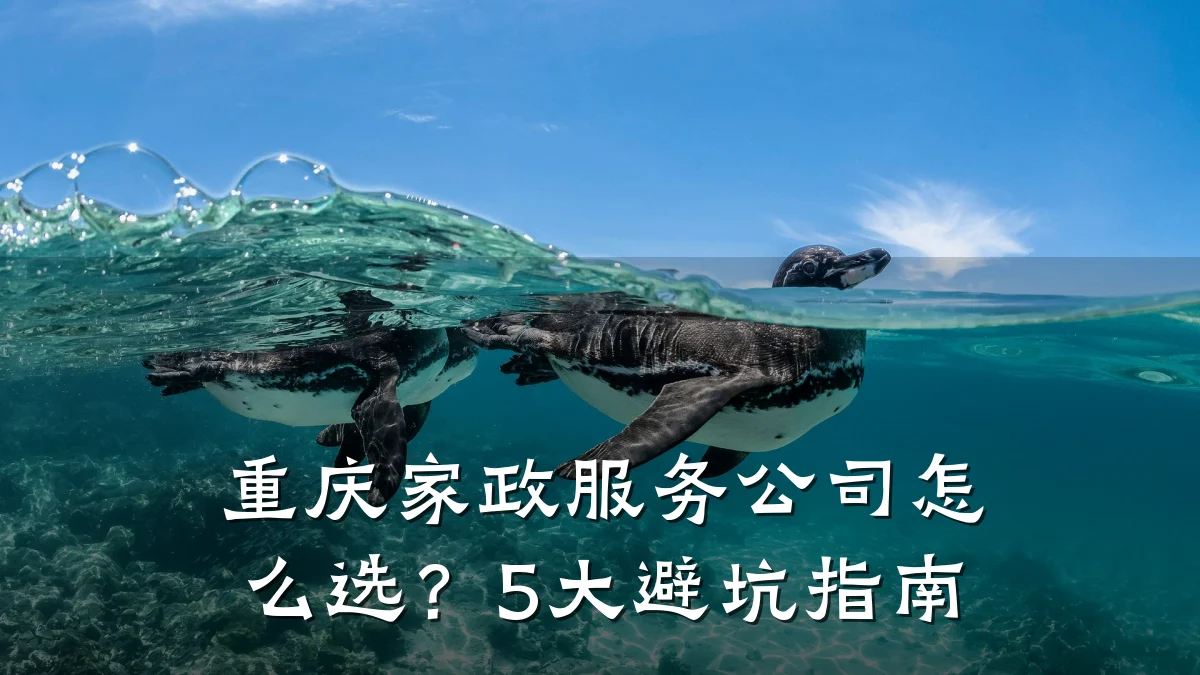 重庆家政服务公司怎么选?5大避坑指南