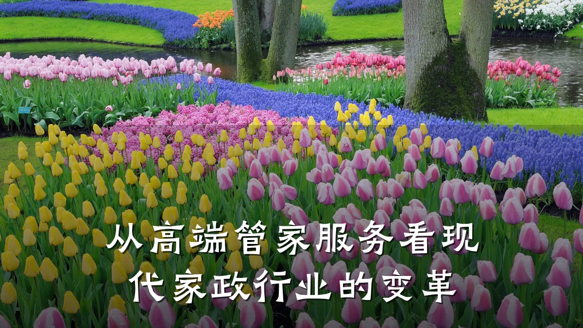从高端管家服务看现代家政行业的变革
