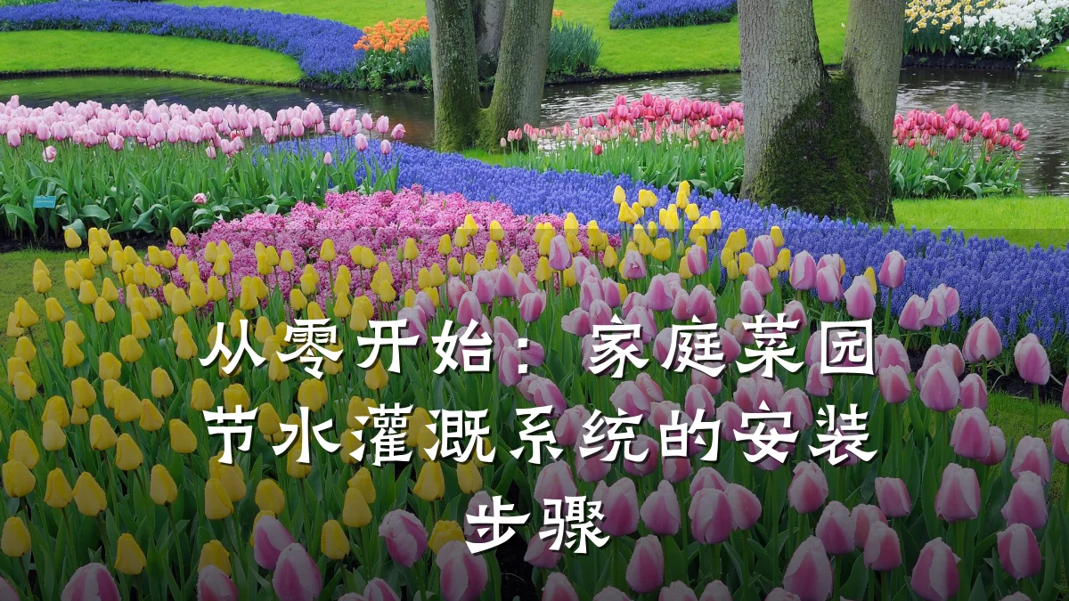 从零开始:家庭菜园节水灌溉系统的安装步骤