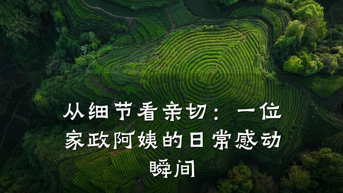 从细节看亲切:一位家政阿姨的日常感动瞬间